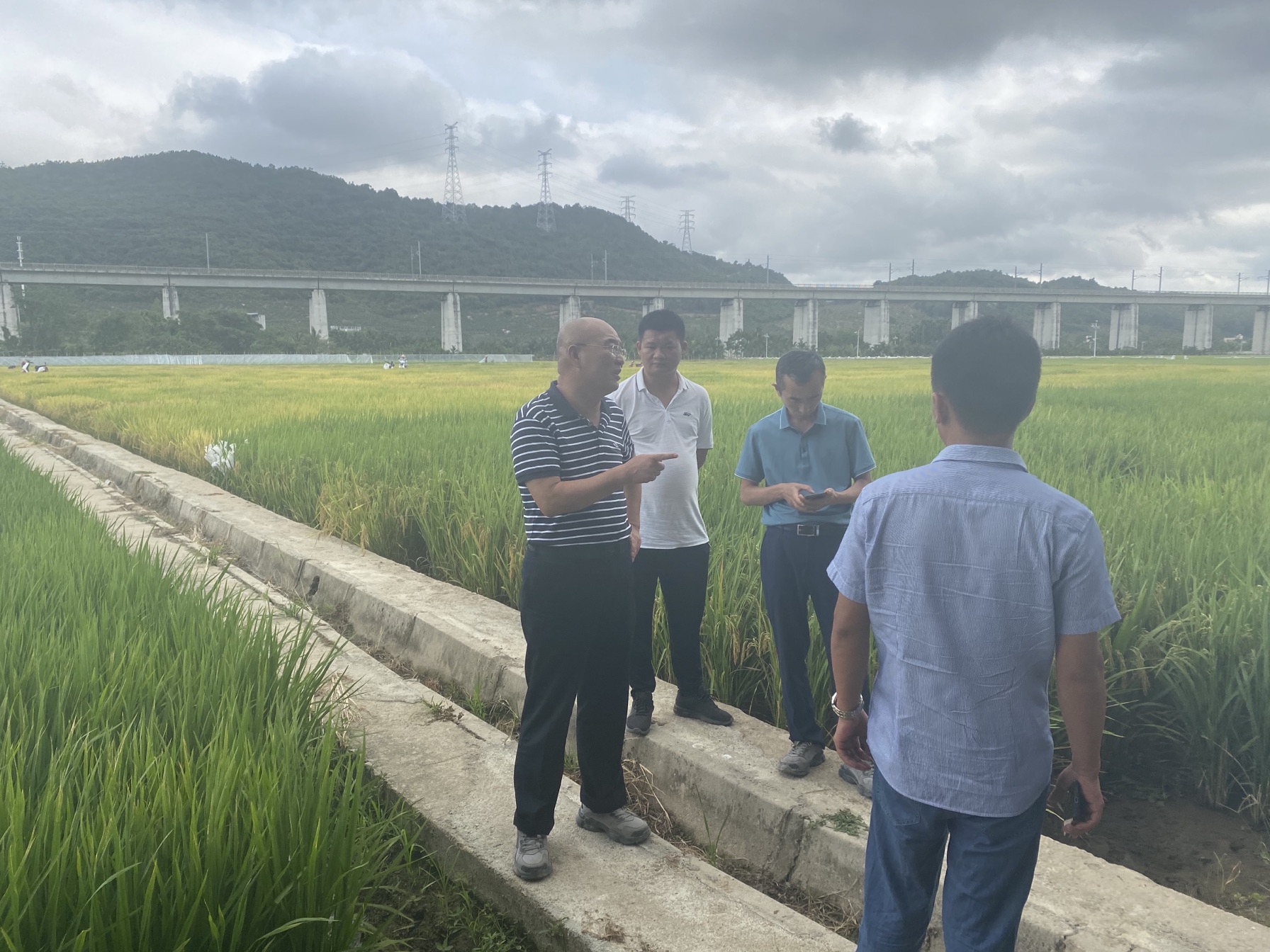 水電集團副總經理劉德鈞到南繁基地水利設施建設工程項目現場進行勘查。